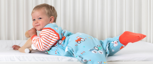 boy in blue and red farmyard sleeping bag with feet