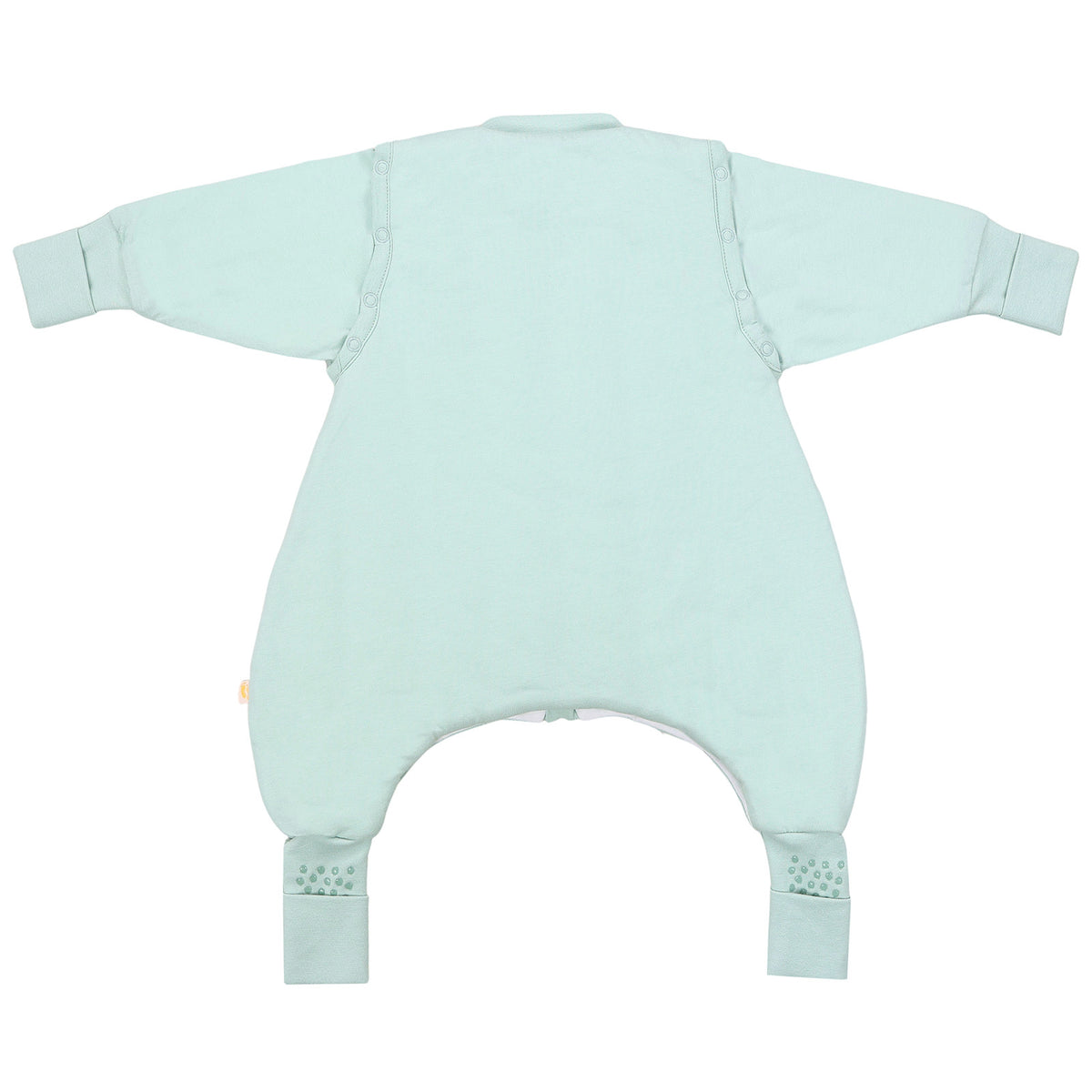 Sleeping Bag with Feet & Foldable Feet Covers - 2.5 TOG_Sage_back_1202
