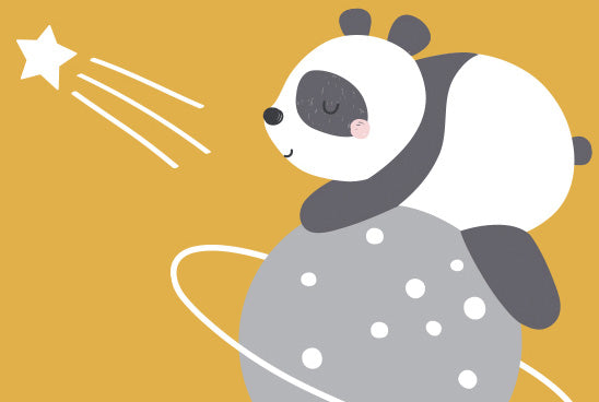 Paul the Panda and the Journey to the Stars
